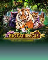 Big Cat Rescue Megaways