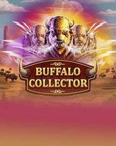 Buffalo Collector