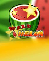 Wild Melon