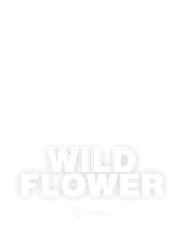 Wild Flower