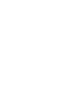 Spin a Win Live
