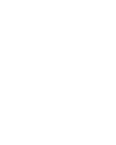 Wild Spartans