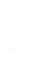 Wild Tiger 2