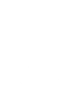 20 Golden Coins