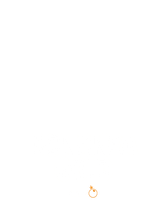 Bonanza Gold