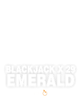 Blackjack 29
