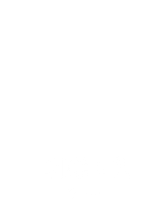 Dice 2