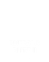 Buffalo Blitz II
