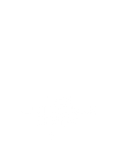 The American Bingo
