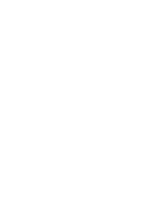 Scratch Dice