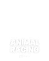ANIMAL RACING