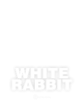White Rabbit