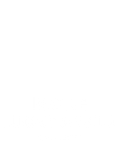 More Lucky & Wild