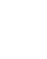 Golden Scarab