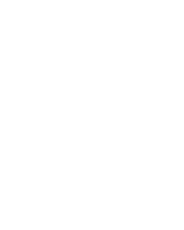 Aloha King Elvis