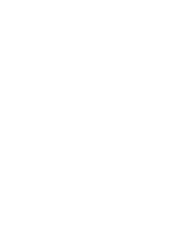 Winter Wonders