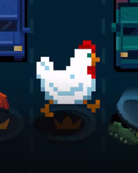 Chicken+