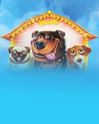 The Dog House Megaways