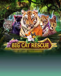 Big Cat Rescue Megaways