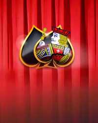 Multihand Blackjack Pro