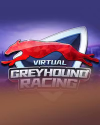 KM Virtual Hound Racing