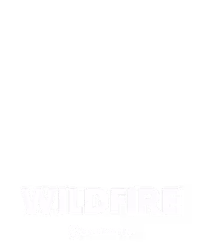 Wildfire
