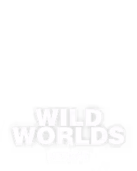 Wild Worlds