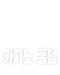 카지노 홀덤