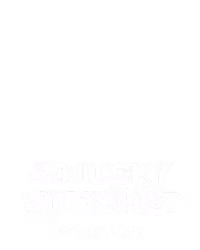 40 Lucky Wilds Hot