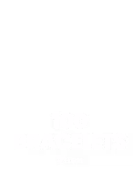 100 Bracelets