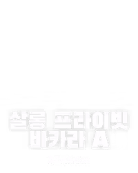 살롱 프라이빗 바카라 A