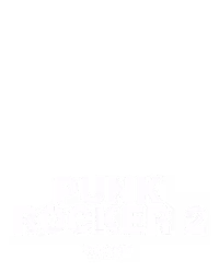 Punk Rocker 2
