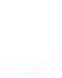 Ninja Crash