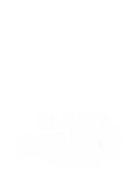 Blaze Roulette