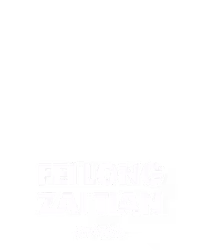 Fei Long Zai Tian