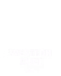 Western Duel