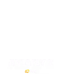 AviaFly 2