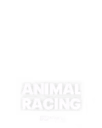 ANIMAL RACING