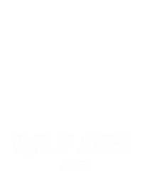 Wild Ace