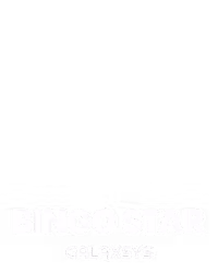 Bingo Star