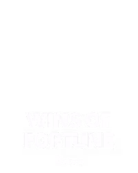 Wins of Fortune