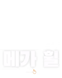 메가 휠