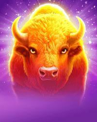 Charge Buffalo Ascent