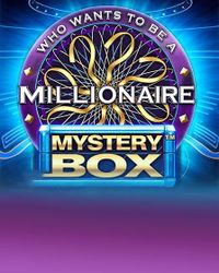 Millionaire Mystery Box