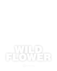 Wild Flower