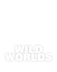 Wild Worlds