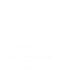 Habesha Fortune 5
