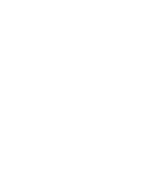 Aztec Priestess