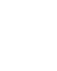 GEMIX 100