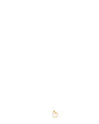 Pyramid King
